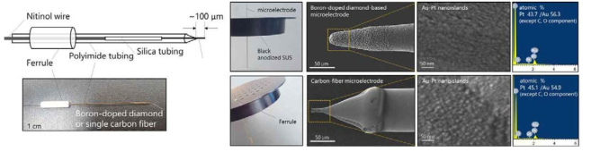 Ferrule에 결합한 탄소섬유미세전극과 Au-Pt 구조를 형성한 다이아몬드 전극(위) 및 탄소섬유미세전극(아래)