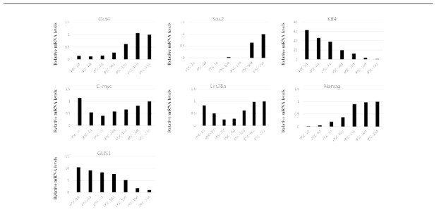 Episomal vector를 이용한 역분화 줄기세포로의 유도 시 시간 경과에 따른 역분화 인자의 발현 양상을 mRNA level에서 비교