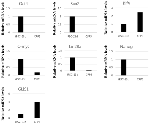 Episomal vector를 이용하여 유도된 역분화 줄기세포와 기존 역분화 융합단백질을 통한 리프로그래밍 유도시의 역분화 인자의 발현 비교