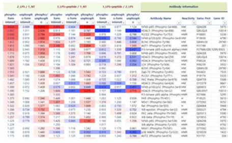 phospho array 결과.