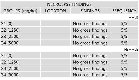 펩타이드 투여시, 부검소견