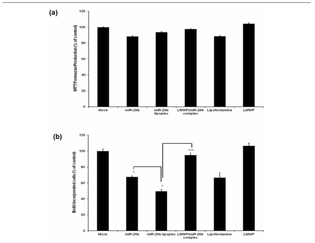인간유래 중간엽 줄기세포에서의 (a) MTT assay와 (b) BrdU assay를 통한 LMWP/miR-29b complex의 세포 내 독성