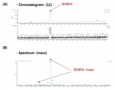 합성된 BHBP4의 HPLC peak(a)와 LC-MS(b)