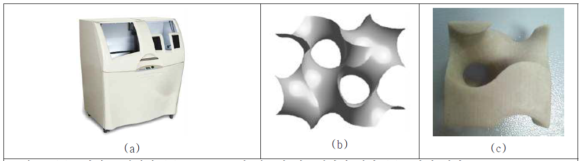 (a) 3차원 프린터기 (b) G surface의 컴퓨터 시뮬레이션 결과 (c) 3차원 결과물.
