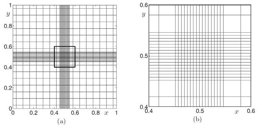 (a) 국소 세분 2D 격자 (locally refined 2D grid). 위 그림에서 가장 큰 격자 간격의 크기는    이고, 가장 작은 격자 간격의 크기는    이다. (b) (a)에서 표시된 지역.