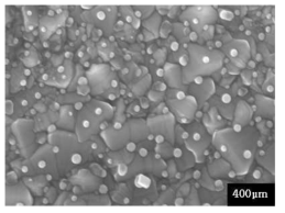 금 나노 입자를 증착하여 열처리한 후의 표면 사진