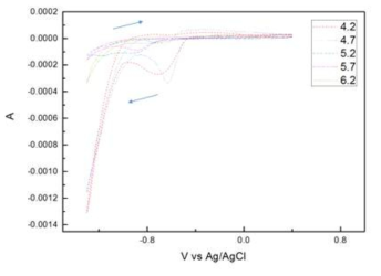 Blank solution: cyclic voltammogram.