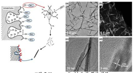 Nano needle MnO2의 형성 과정