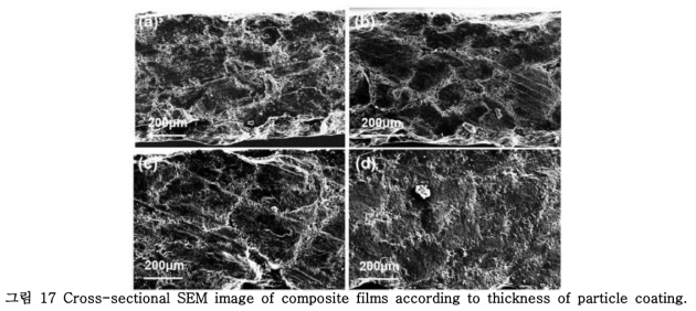 Cross-sectional SEM image of composite films according to thickness of particle coating.