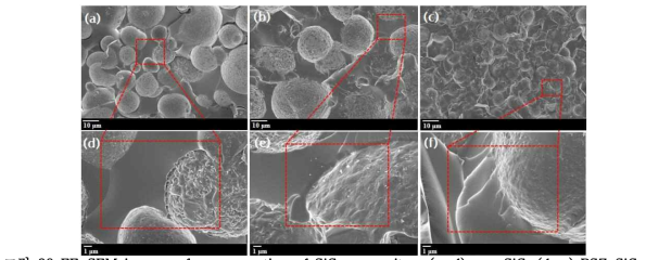 FE-SEM images of cross-section of SiC composites