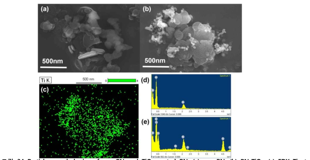 Particle morphologies of raw BN and TiO2 coated BN.