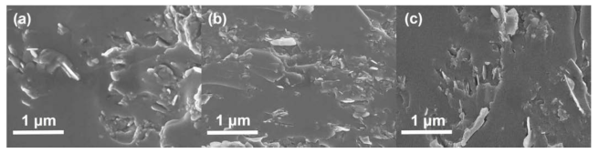 Cross-sectional images of horizontally and vertically aligned filler composite.