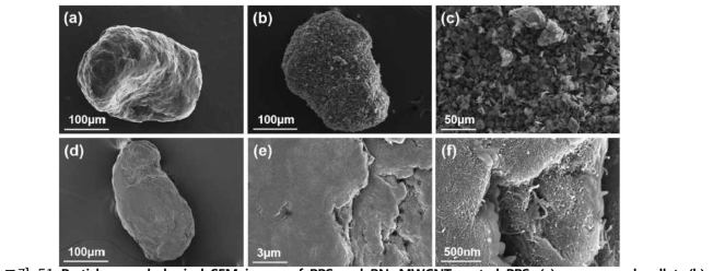 Particle morphological SEM image of PPS and BN, MWCNT-coated PPS.