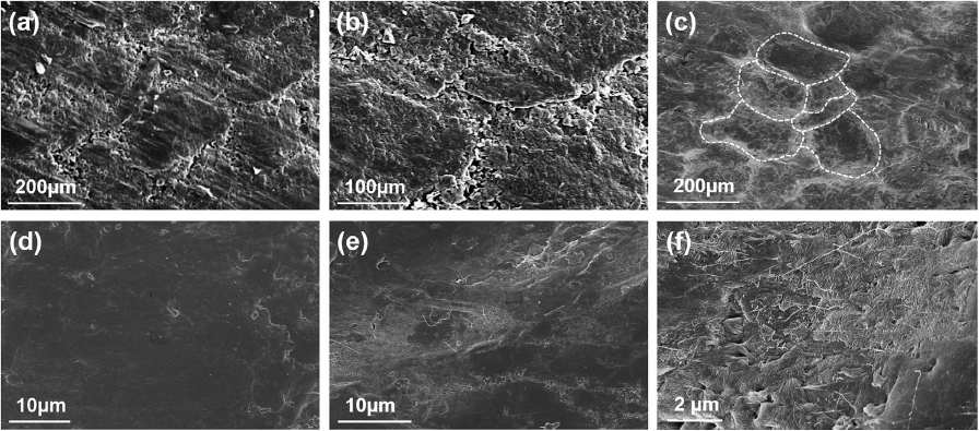 Cross-sectional SEM image of composite films fabricated using particle coated pellet