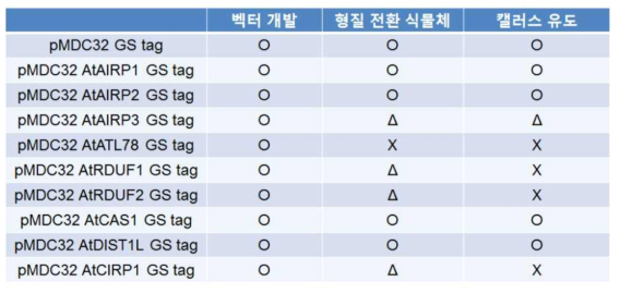 본 연구에서 확보한 RING E3 Ub ligase 형질전환 식물체 및 대량 단백질 정제용 캘러스 제작 리스트