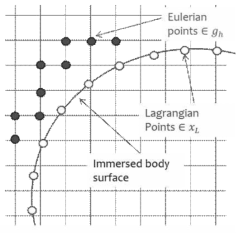 Eulerian 격자 계와 Lagrangian 격자 계