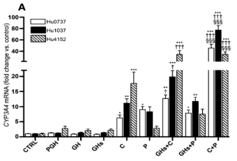 임신 중 변화하는 호르몬을 임신 3분기 농도의 10배 처리 시 CYP3A4의 mRNA 농도 변화