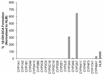 21개의 recombinant CYPs에서 DCA 1β-hydroxylation activity