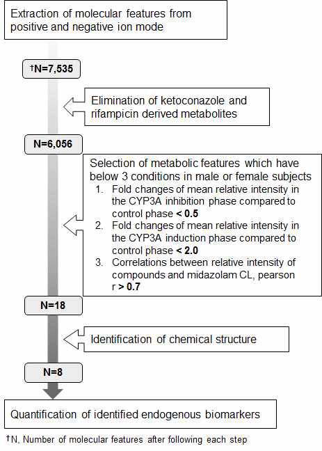 Global metabolomics를 이용한 CYP3A 대사능마커 발굴과정