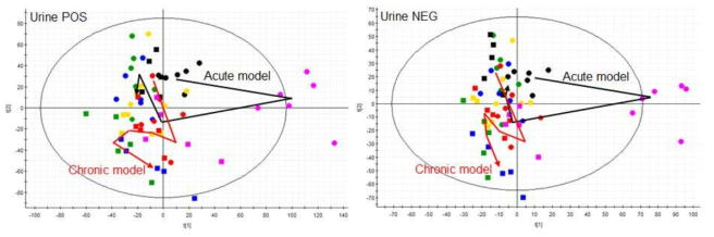 PCA 분석을 통해 본 급성/만성 신염 랫드 모델의 소변 metabolic profiling