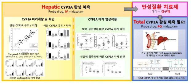 본 연구팀의 CYP3A 마커 개발을 위한 연구 총정리 및 만성질환 치료제를 위한 Total CYP3A 마커 개발의 필요성