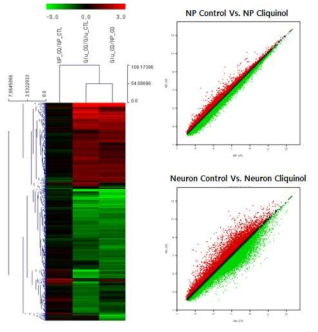 신경독성 물질(clioquinol)에 의한 신경세포 유전체 비교 분석