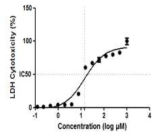 Tamoxifen effect in cortical neuron cell after 0.5h of LDH addtion