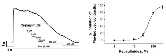 Repaglinide가 농도 의존적으로 대동맥을 이완시키는 효과