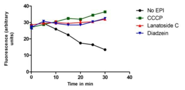 항생제 저항성의 주요 기작인 efflux pump 저해 역할을 하는 natural compound를 이용하여 세포 내 ethidium bromide의 축적 변화 관찰