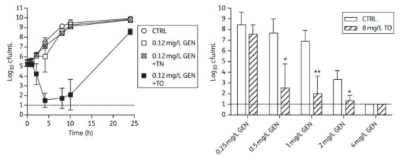 식물 추출물인 tomatidine (TO)를 gentamicin(GEN) 항생제와 함께 처리하였을 때 세포 사멸 효율이 증가하는 것을 확인함