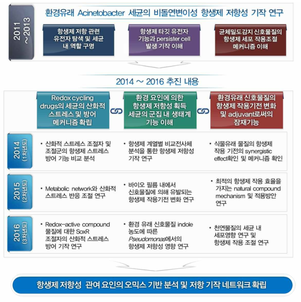 선행 (2011-2013년) 연구수행내용 및 후속 (2014-2016년) 연구계획을 통한 장기목표 제시