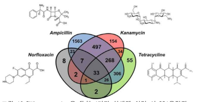 RNA sequencing을 통한 4가지 항생제 처리 시 DR1유전자 발현변화 비교.