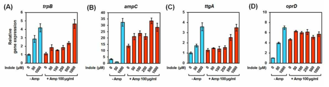 Indole 농도별, ampicillin 100 μg/ml 처리시 trpB, ampC, ttgA, oprD 유전자의 발현을 qRT-PCR로 확인함.