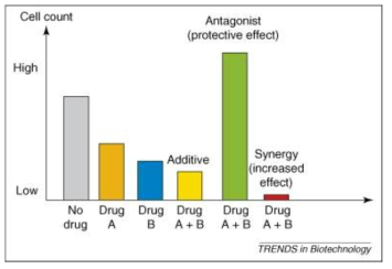 두 가지 이상 항생제 처리 또는 adjuvant 처리에 의한 Antagonist, Synergy 효과