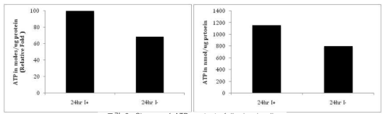 Change of ATP contents following insulin withdrawal