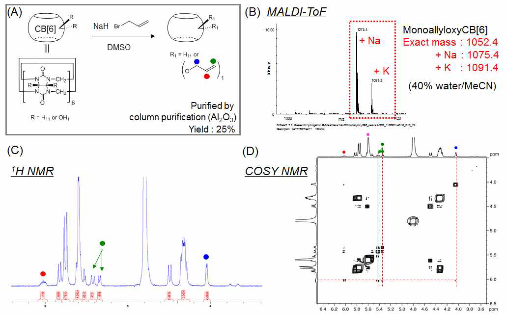 (A) CB[6] 유도체의 합성, (B) AllylCB[6]의 Mali-TOF, (C) 1H-NMR, (D) 2D NMR(COZY) 분석.