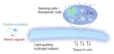 Optogenetics의 개요.