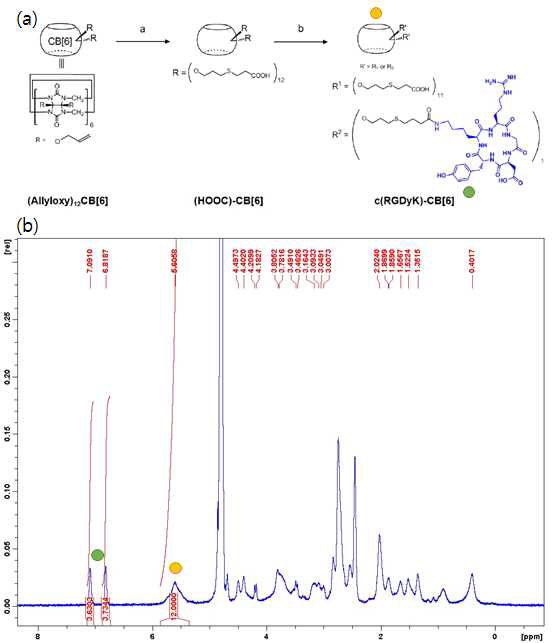 (a) c(RGDyK)-CB[6] 유도체 합성 (b) c(RGDyK)-CB[6] 유도체의 1H NMR 분석.