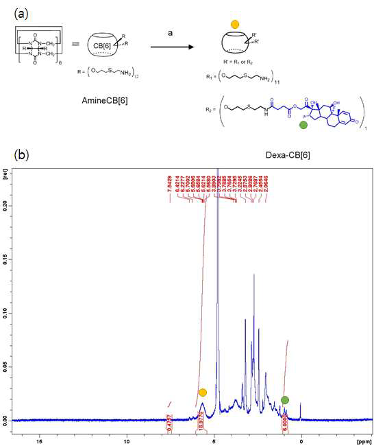 (a) Dexa-CB[6] 유도체 합성과 (b) Dexa-CB[6] 유도체의 1H NMR 분석.