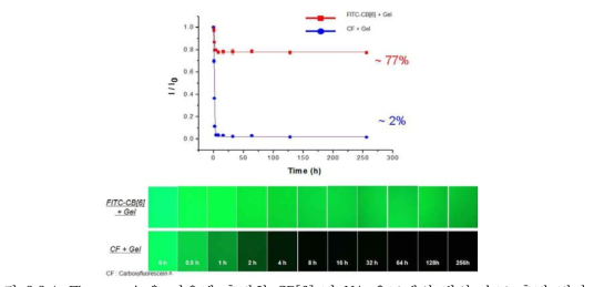 Fluorescein을 이용해 측정한 CB[6] 및 HA 유도체의 발산 속도 측정 결과.