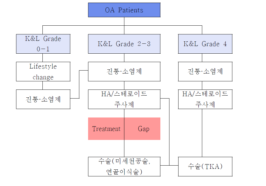 퇴행성관절염 치료 현황.