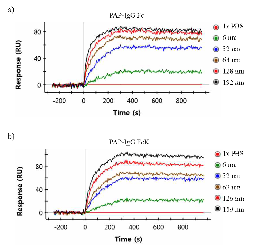 형질전환 식물체에서 정제한 항원-항체 융합 단백질[a) PAP-IgG Fc, b) PAP-IgG FcK] 단백질 항암 항체와 항원간의 상호작용 [Surface Plasmon Resonance (SPR) system] 확인.