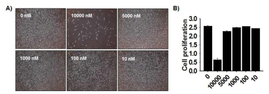 위 그림은 여러 농도의 레티놀을 처리한 후 세포의 증식을 나타낸 결과이다.