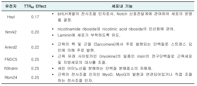 TTR 유전자의 발현억제에 따라 감소된 유전자들의 일반적인 기능을 기술한 표 이다.