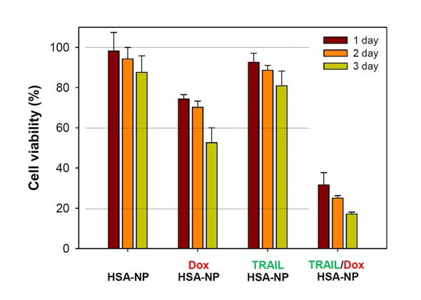 H226 세포주에 대한 MTT assay를 이용한 알부민 나노입자의 세포독성 평가 (24시간, 48시간, 72시간 배양)