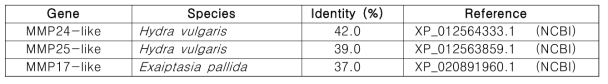 The homology analysis of N. nomurai MMP17-1 and MMP17-2 with other genes