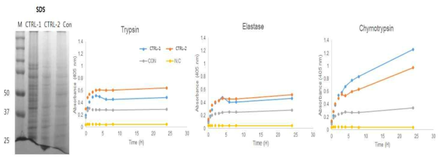 노무라입깃해파리 CTRL-1의 substrate-specific 분해 활성 측정