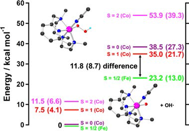 Thermodynamics of O−O homolysis for 3 on the S = 0 (violet line), S = 1 (red line), and S = 2 (magenta line) surfaces, as well as for the Fe analogue on the S = 1/2 (green line) surface.