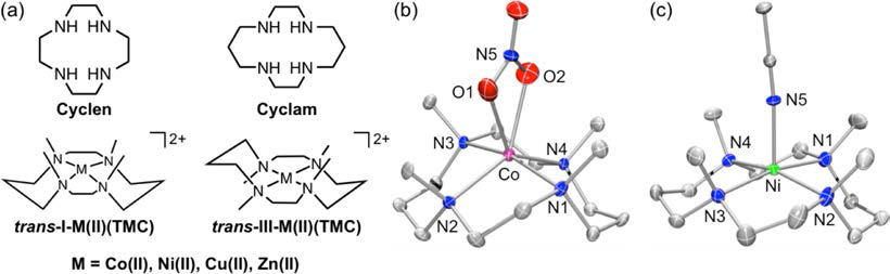 Chemical structures of macrocyclic polyamines and their metal complexes.