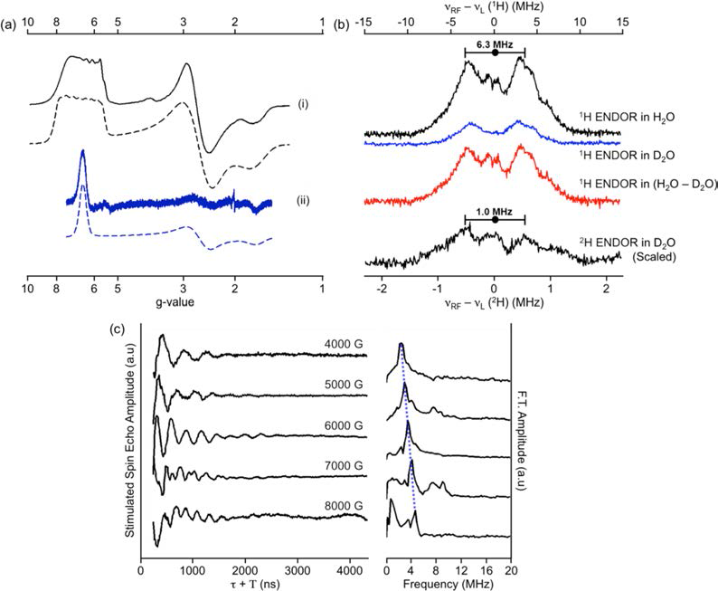 EPR measurements of Co(II)(TMC).